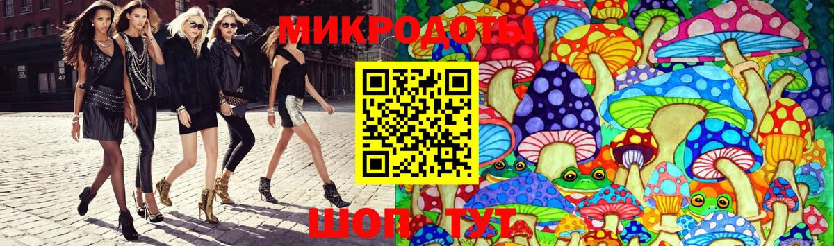 Галлюциногенные грибы Psilocybe Шелехов