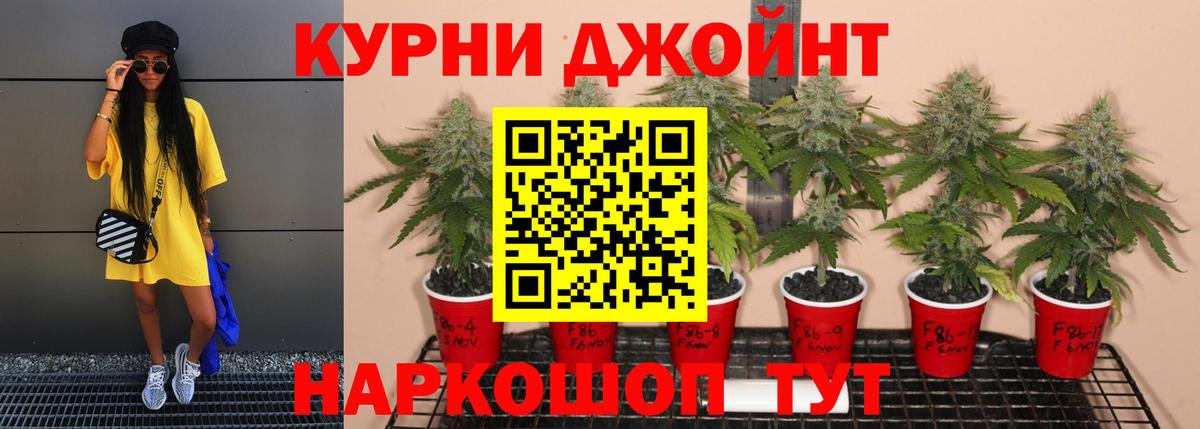 Шелехов  Канабис MAZAR  Бошки марихуана сатива  Вход с VPN  Бошки марихуана Amnesia 